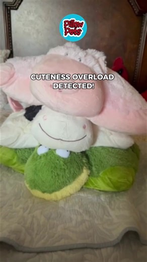 Proceed with cuddles 🫡 #pillowpets #kids #fyp | pillow pets
