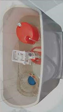 Why Mold Keeps Returning in Your Toilet and How to Stop It