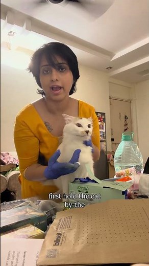 How to Brush Your Cats Teeth Tutorial At Home