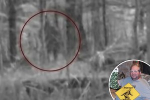 I encountered 'Bigfoot' & have shock photo 'proof' after setting up cameras