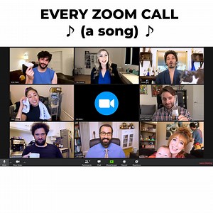 45K views · 844 reactions | A song about every quarantine zoom call, fittingly to the tune of the Brady Bunch | The Warp Zone | Facebook