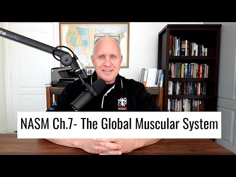 NASM Exam Study: Ch. 7- Understanding the Global Muscular System
