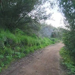 14K views · 158 reactions | One of the less populated trails in the Conejo Open Space is the western section of the Los Robles Trail. The trailhead is about a quarter mile east of Wendy and Potrero in Newbury Park. There's a dirt parking lot accessible from Potrero Road. Mostly single track trail that can rake you as far as Moorpark Road and beyond. More info about local area trails at bit.ly/vchiking. #conejovalley #newburypark #thousandoaks #conejoopenspace | Conejo Valley Guide | Facebook