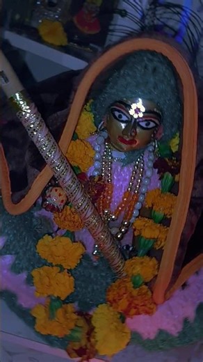 radha🙏🏼radha #song #thakurjikripa #trending #shyam #krishna #ytshorts #trendingshorts #viralvideo