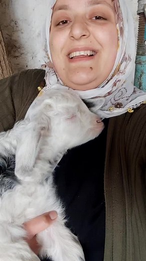 Exploring the Quaint Village Life in Turkey