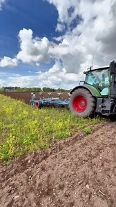 Fendt 724 Vario ploughing mustard cover crop