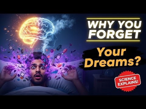 Why Do You Forget Your Dreams Seconds After Waking Up? (Science Explained) #facts