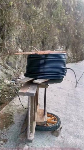 Cable Spool Near Rural Utility Pole, Cats' Curious Adventure