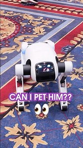 Humanoid or Doggo? You decide #ces2026 #robottech