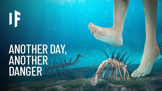 Imagine yourself living through the entire Paleozoic era