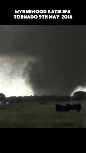 #tornado #tornadoes #ef5 #tornadoes_us | ef5 tornado