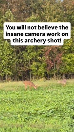 29K views · 1.3K reactions | What do you think of the camera work?? | Clint Ellsworth | Facebook