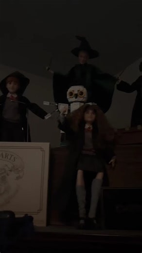 Me showing everyone my Harry Potter collection 🧙‍♂️🪄