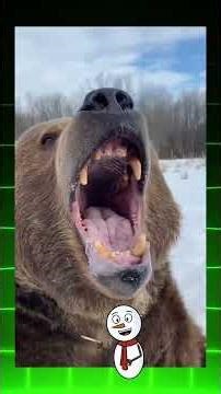 Hard-to-find animal facts