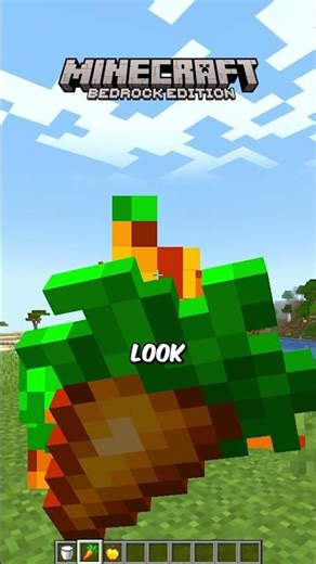 The animations are different in Java and Bedrock!