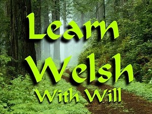 Learn Welsh with Will Ep9: I have, they have
