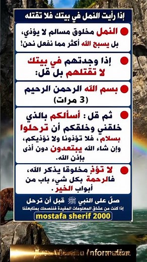 ماذا يعني ظهور النمل في البيت؟ معلومات مفيدة ستدهشك
