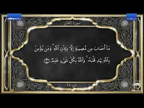 MTA TV Live - English