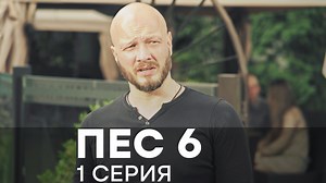 Пес 6 сезон. 1 серия