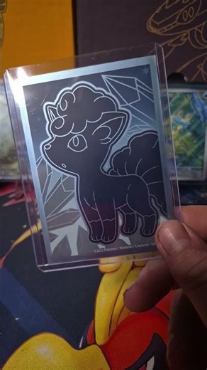 So Here's The Deal...#pokemon #pokemontcg #pokemoncommunity #collection