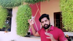 Alla pinney | CRAZY VOLPE