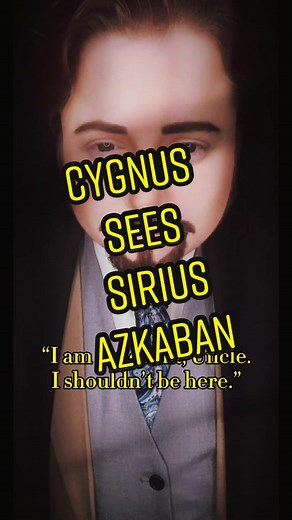 Exploring Bellatrix and Sirius Black's Legacy