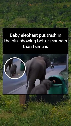 Studies show that kids who do chores are more likely to be successful in life, teaching responsibility, teamwork, and work ethic from an early age. What lessons did you learn growing up that shaped who you are today? | Awesome Stuff 365 - Outdoors