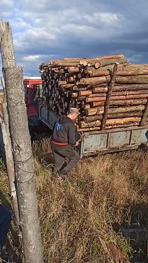 Log Loading Techniques: Efficient Softwood Handling