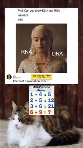 DNA and RNA #short #funny #memes