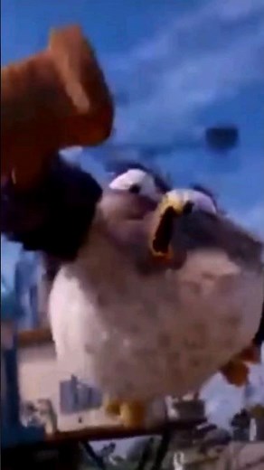 Judge Power Angry Birds Meme