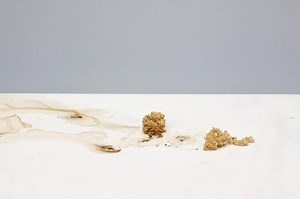 The fall semester exhibition features student artwork from two Harvey Mudd courses: Undisciplined Art (Art 188) and Photography (Art 33). View the works in person through Dec. 13. | Harvey Mudd College | Facebook