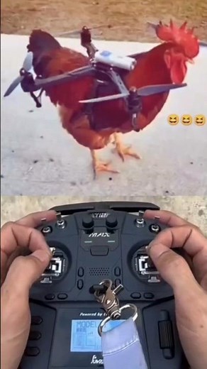 Murga Ko Drone Se Jod Dia 🤣 || Drone Prank Gone Wrong 😱 || #shorts #drone #prank #funny #comedy