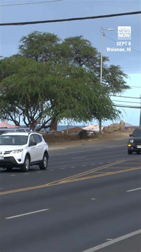 61K views · 417 reactions | Two shootings on Oahu, one leaving a teen in critical condition and one apparent party that led to a shooting at Zablan Beach area. Plus, an attempted murder case has been opened following an apparent stabbing in Kapolei. Head to HawaiiNewsNow.com for the latest news and information. #HNN #News #TopStories | Hawaii News Now | Facebook