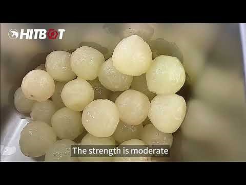 Hitbot Grape Peeling Machine