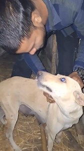 131K views · 9.2K reactions | #petlovers | pet lovers | Facebook