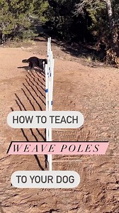 966K views · 10K reactions | Weave poles are a challenge for many...