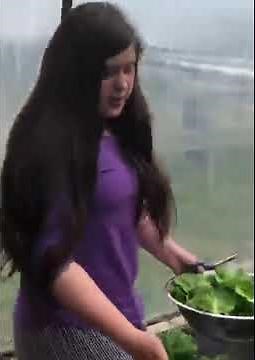 How to Harvest Romaine lettuce