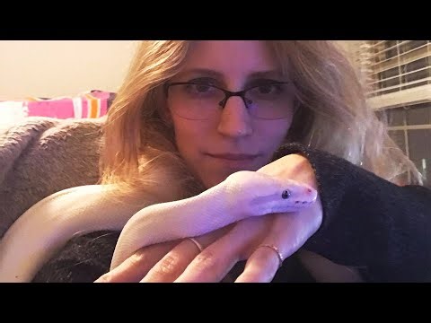 This Adorable Snake Shows Endless Love for Her Mom.