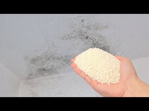 Walls Stay Dry Even in Winter Thanks to This