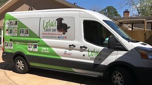 Non-profit takes unwanted dogs on rescue road trips