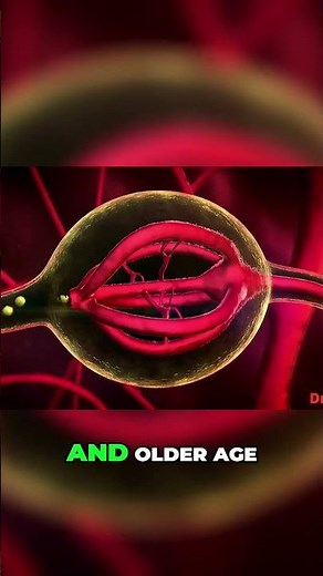 The Science behind Saw Palmetto and Prostate Health #DrPklyfe #health #healthcare