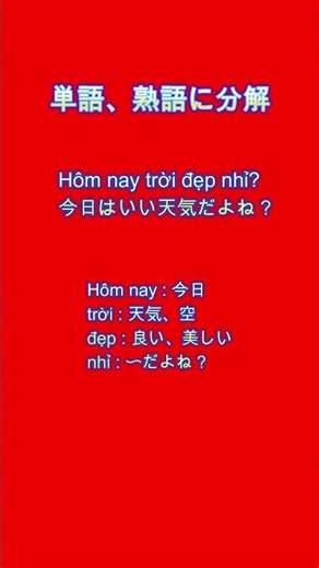54 nhỉ? shoot #ベトナム語
