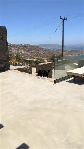 Pool party? Goat the invite! 😎 This is how it feels when the goats crash your vacation 😂 Via @liveandtravelgreece for the inspiration 📸 #greece #funnymoments #greeklife #poolparty #goatparty #goats🐐 #greekgetaway | Greek Getaway