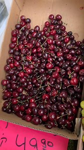 Here in Israel, grapes aren’t just a fruit—they’re a promise. A reminder of fruitfulness, blessing, and staying connected to the True Vine.” 🍇 | Inan Weiner