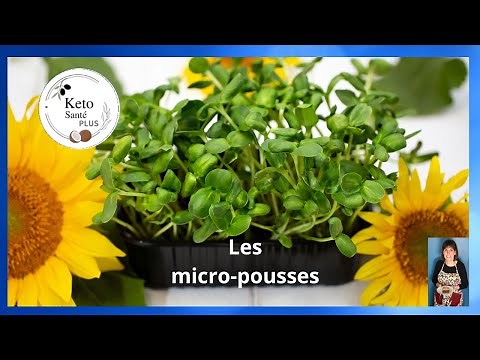 Homemade MICROGREENS / simple technique / ready in 11 days