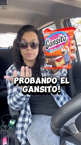 GANSITO GONGELADO! #mexicanfood #mexicana #Puebla #Guadalajara #latinosenusa #latinoamerica | Alborotadas