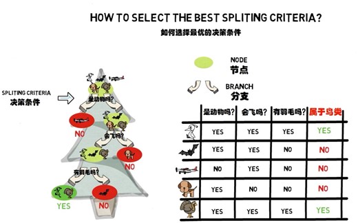 【五分钟机器学习】可视化的决策过程：决策树 Decision Tree-五分钟机器学习-五分钟机器学习-哔哩哔哩视频