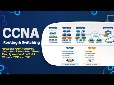 Network Architectures Overview | Two-Tier, Three-Tier, Spine-Leaf, WAN & Cloud + TCP vs UDP