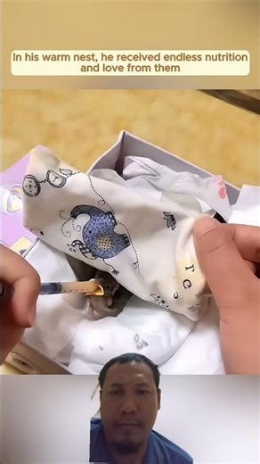 This Baby Bird Was Almost Killed by Red Ants 😢🐦 #animals #wildliferescue #trending #wildlife #birds