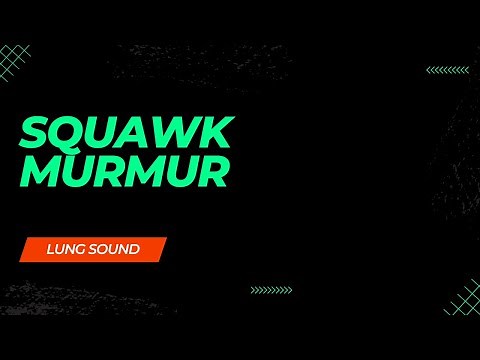 Squawk| Lung Sound Collection